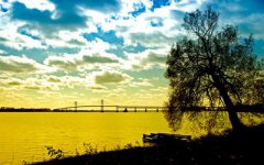 生肖属牛的人处暑节气出生命运好不好?