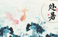 生肖属狗的人处暑节气出生命运怎么样?