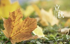 2019年立秋出生的女孩喜用神是什么？