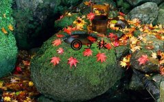 立秋要做什么活动？立秋节气的含义是什么？