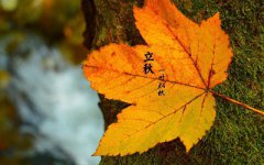 立秋出生的人命运如何？2019年立秋之时是几时几分？