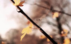 立秋之后就是秋天了吗？今年哪月哪日立秋？