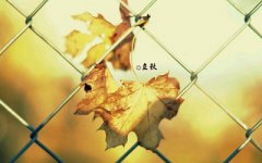 立秋出生的人好吗？立秋时生孩子几月怀孕？