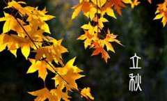 立秋贴秋膘是什么意思，立秋贴秋膘要注意什么？