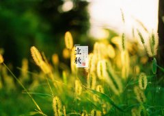 2019年8月8日立秋是出殡吉日吗,秋老虎几时开始几时结束？