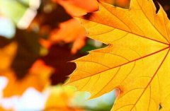 立秋是什么意思,立秋三候是什么?