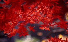 2019年农历九月二十五日适合出远门吗?