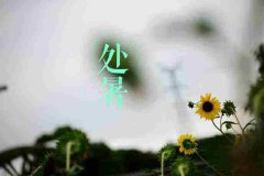 处暑的习俗风俗有哪些？处暑节气的习俗活动