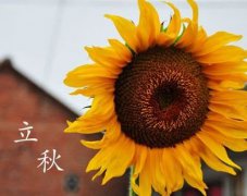 2019年立秋算是三伏天吗，“雷打秋，冬半收”是什么意思？