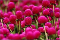 2019年立秋给孩子理发好不好？