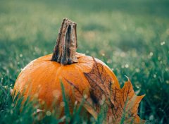 2019年8月8日立秋是迁坟吉日吗,什么是秋老虎？