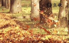 立秋无雨收半秋啥意思?立秋无雨样样有是错误的吗?