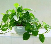 2019年农历九月二十七是不是黄道吉日今日卦象好不好?