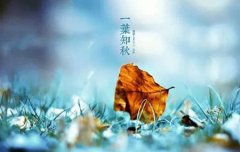 2019年8月8日立秋修坟吉利吗,秋老虎是如何形成的？