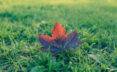 2019年末伏从哪一天开始,立秋后的末伏热不热?