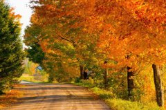 2019年农历九月廿六日是黄道吉日吗，卦象是吉是凶？