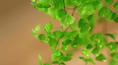 2019年阴历九月初七是黄道吉日吗，今日卦象如何？