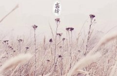 2019年农历九月廿六日霜降节气可以求嗣吗？