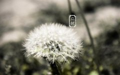 2019立秋不能搬家乔迁?立秋前后有哪些搬家吉日?