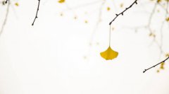 2019年立秋不能做什么,立秋习俗"咬秋"是什么意思?