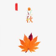 立秋之后是什么节气，2019年立秋这一天可以约会吗