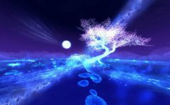 2019年七夕今天是修坟吉日吗,关于七夕节对联推荐！