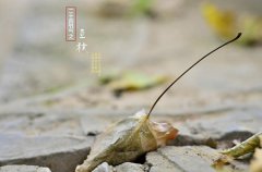 2019年立秋时间几点时刻，2019年立秋是不是黄道吉日？