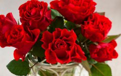 2019年七夕节冲什么生肖,2019年七夕节是不是黄道吉日？