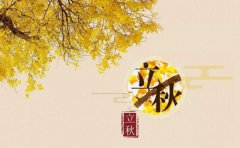 立秋之后就是秋天了吗，立秋的下一个节气是什么？