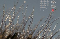 2019年农历九月初十寒露节气出生的女宝宝命运好不好?