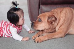 2019年农历九月初四出生的女宝宝命好吗？