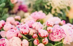 2019年七夕节前一天祈福好吗,七夕到底是不是情人节？