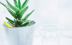 2019年农历八月二十九祈福吉利吗，寺庙祈福有何讲究？