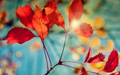 2019年阴历八月十七日子能祈福吗，祈福有什么讲究？