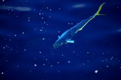 2019年农历八月三十出生的人是什么星座？优缺点是什么