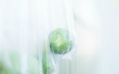 2019年农历八月二十四祈福好不好卦象如何？