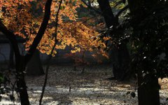 2019年农历八月有没有三十日？这天日子好不好？