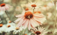 2019年阴历八月二十一日是黄道吉日吗，时辰吉凶如何？