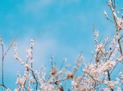 2019年八一建军节理发好不好,今天是不是理发吉日？