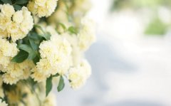 2019年农历八月二十四日卦象如何,是不是黄道吉日?