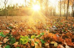 2019年农历八月三十日是适合出远门的日子吗？