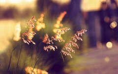 2019年阴历八月初六祈福吉利吗，今日卦象好不好？