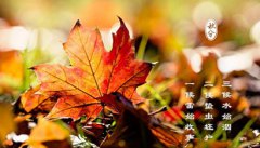 2019年农历八月二十五秋分节气可以理发剪头发吗？