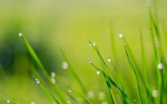 2019年农历八月二十八日子好不好，是黄道吉日吗？