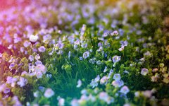 2019年阴历八月初七能祈福吗，时辰吉凶分析