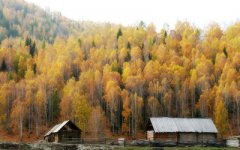 2019年农历八月二十五日是阳历几月几日，可不可以出行？