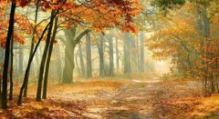 2019年农历八月二十适合祭组祭祀吗？