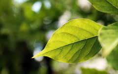 2019年农历八月初七日适合出行吗？