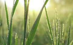 2019年农历八月的黄道吉日一览表！