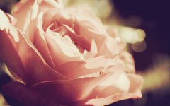 2019年农历八月十四是不是黄道吉日，卦象是吉是凶？